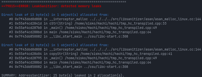 Hachi Memory Leak Test